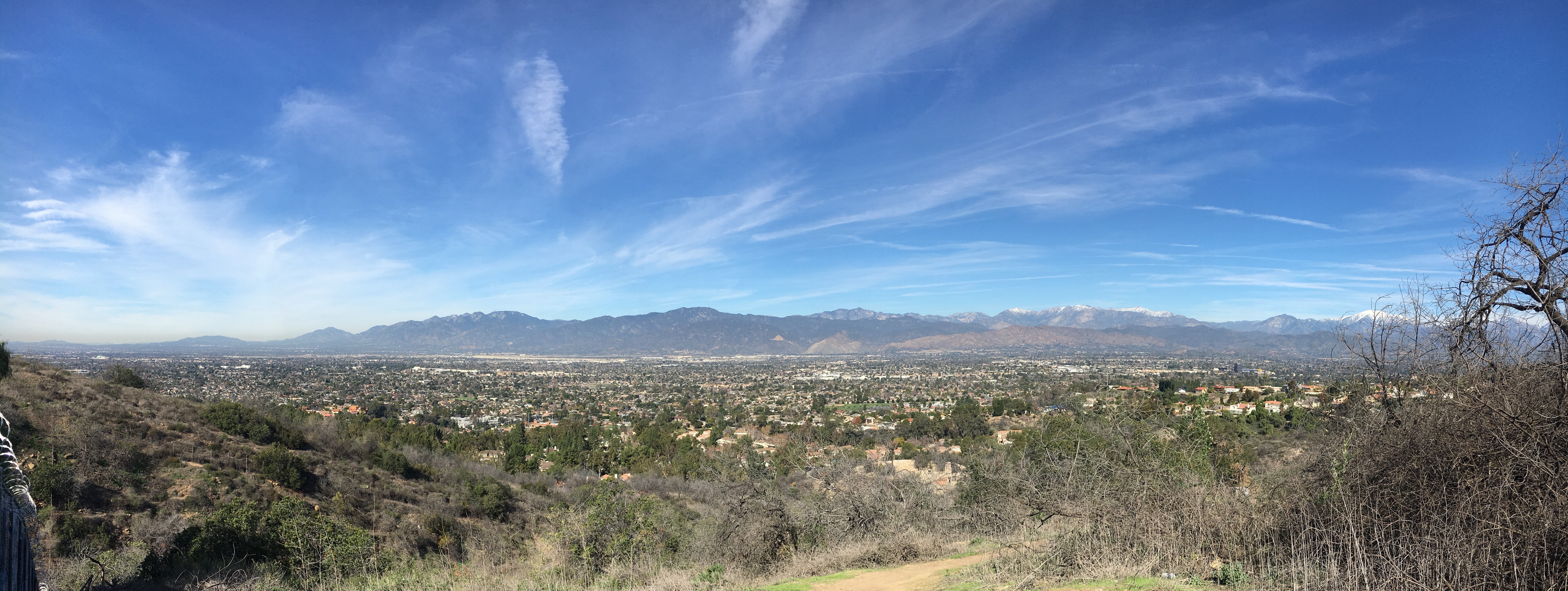 view