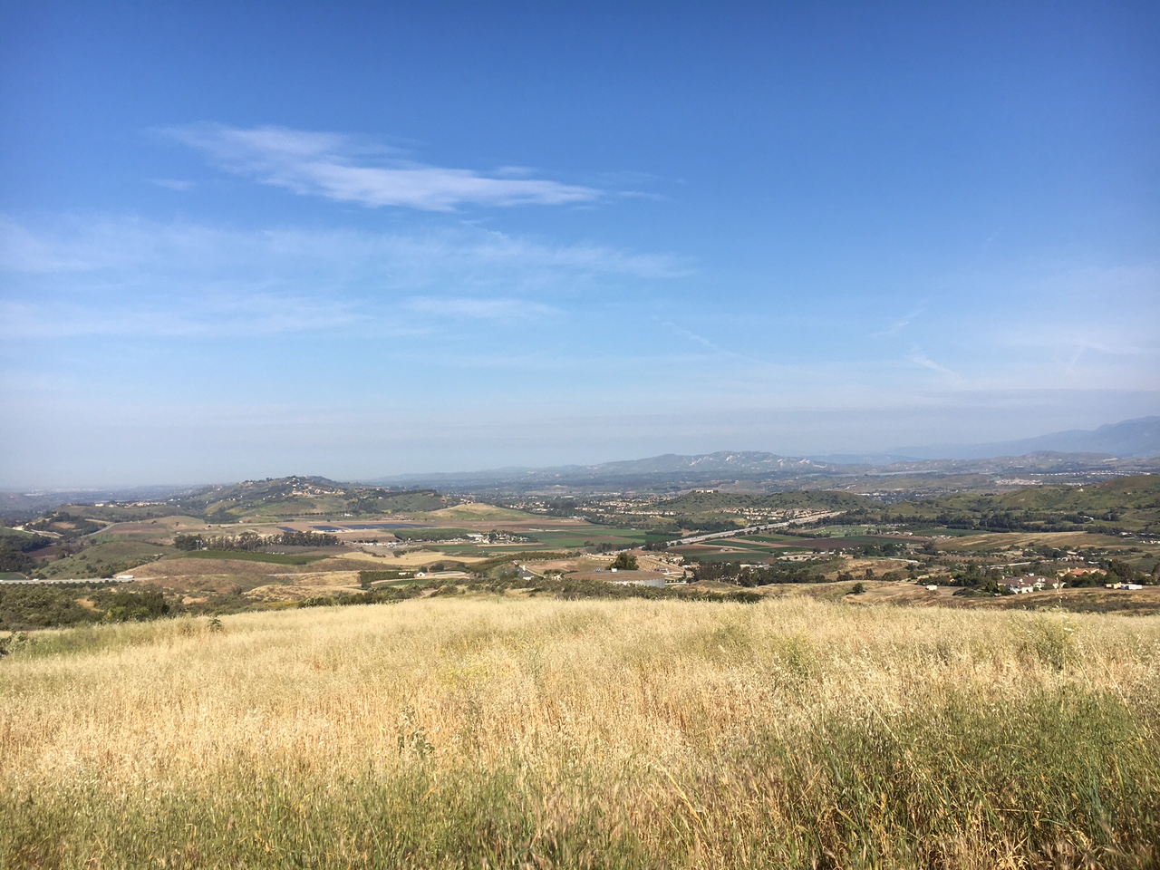 view
