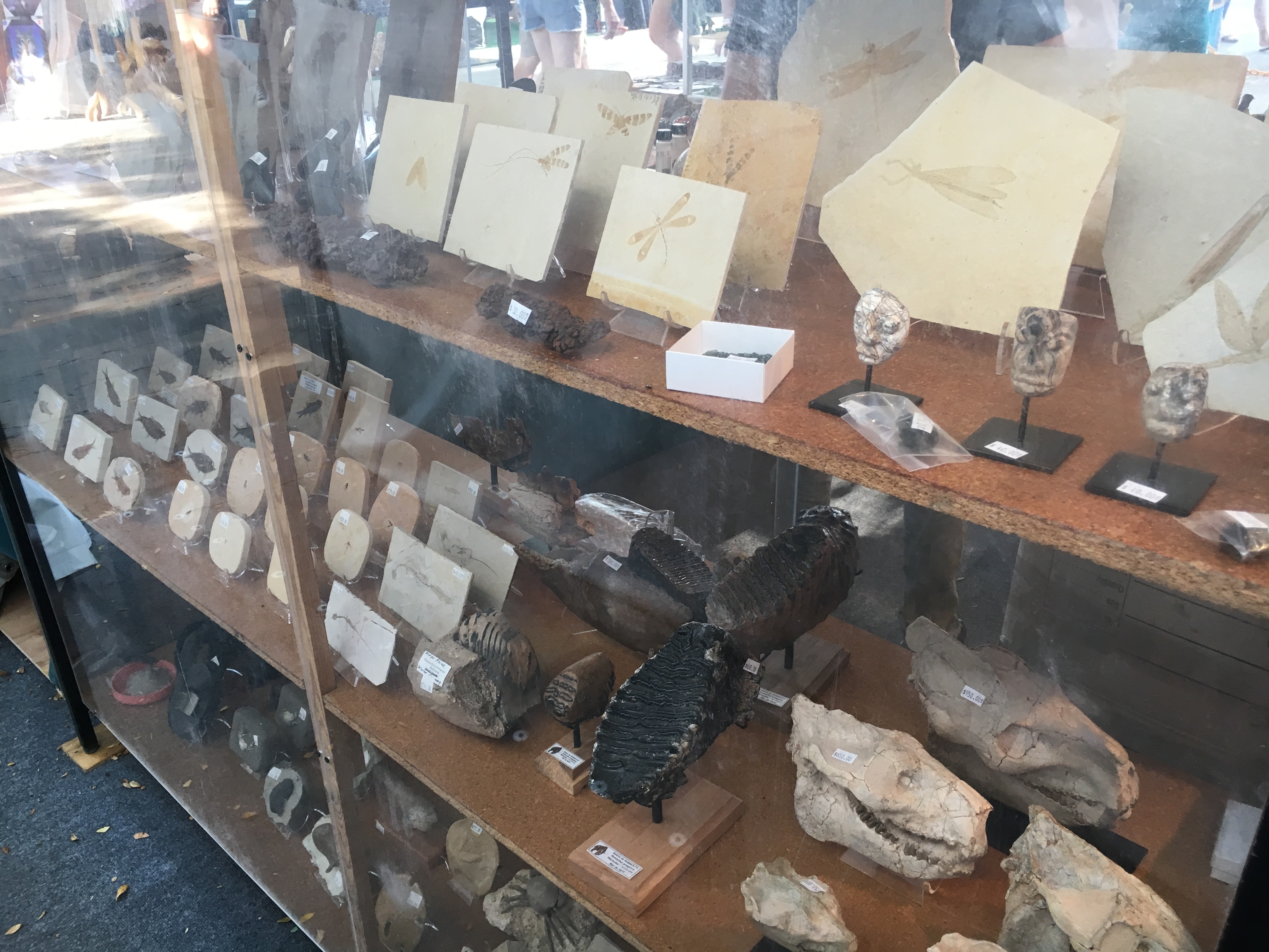 rocks