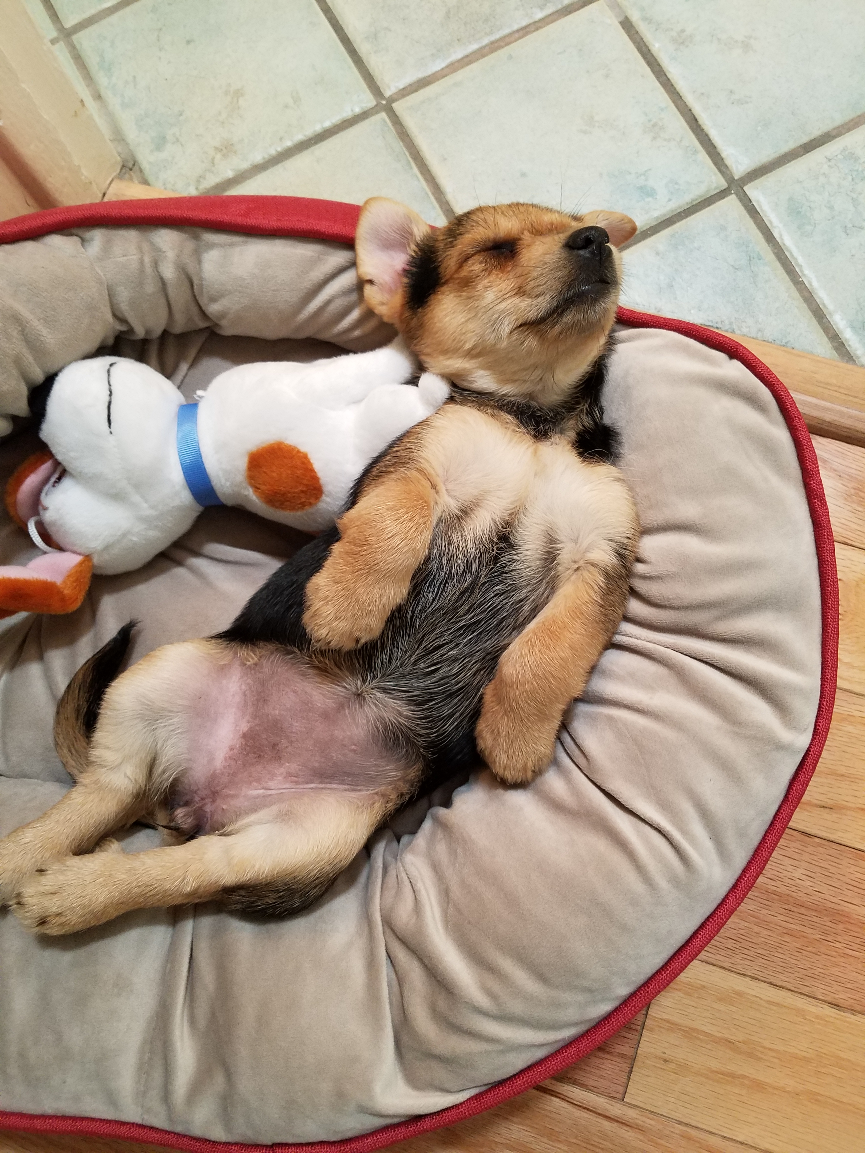 sleepy