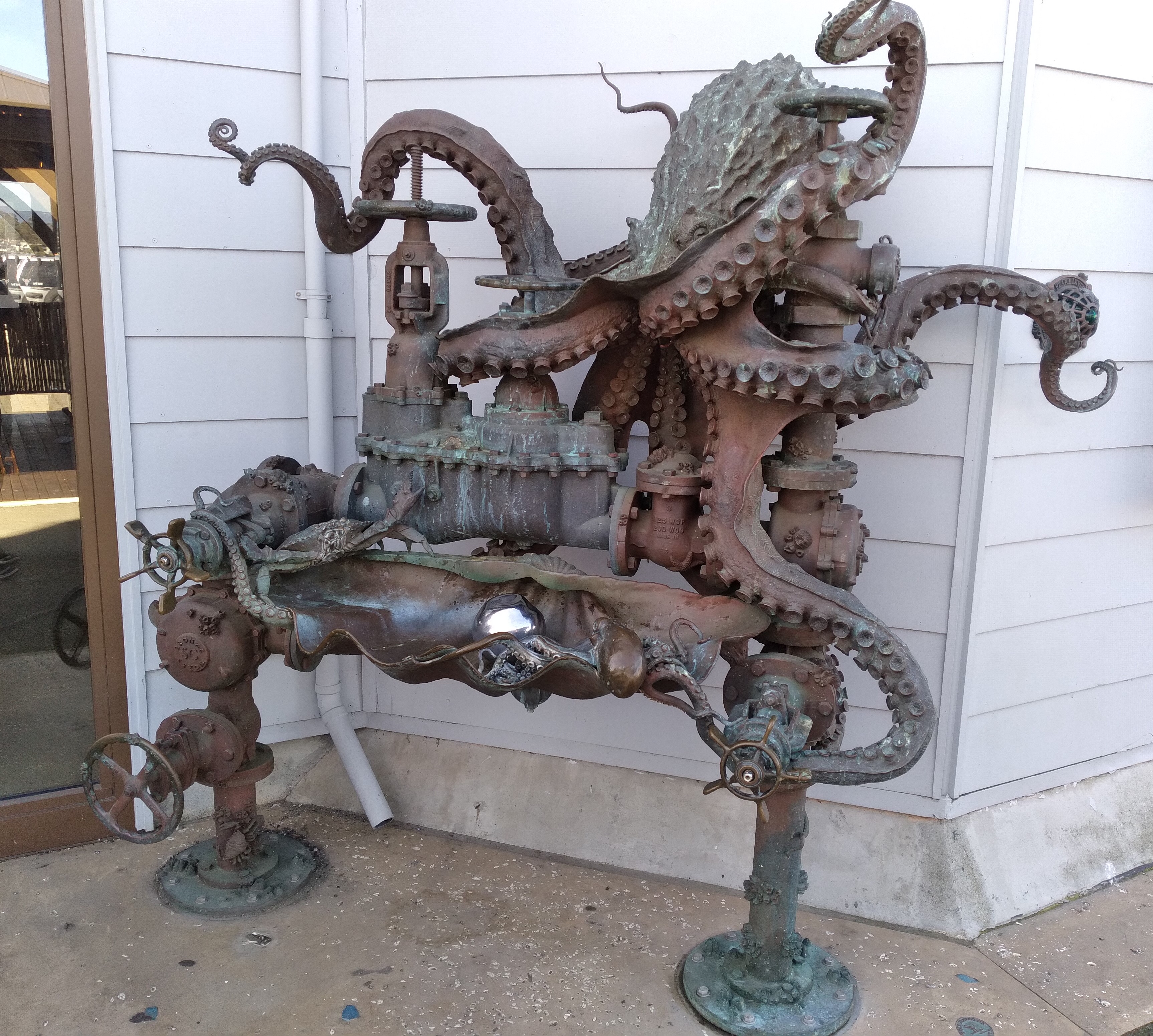 octopus