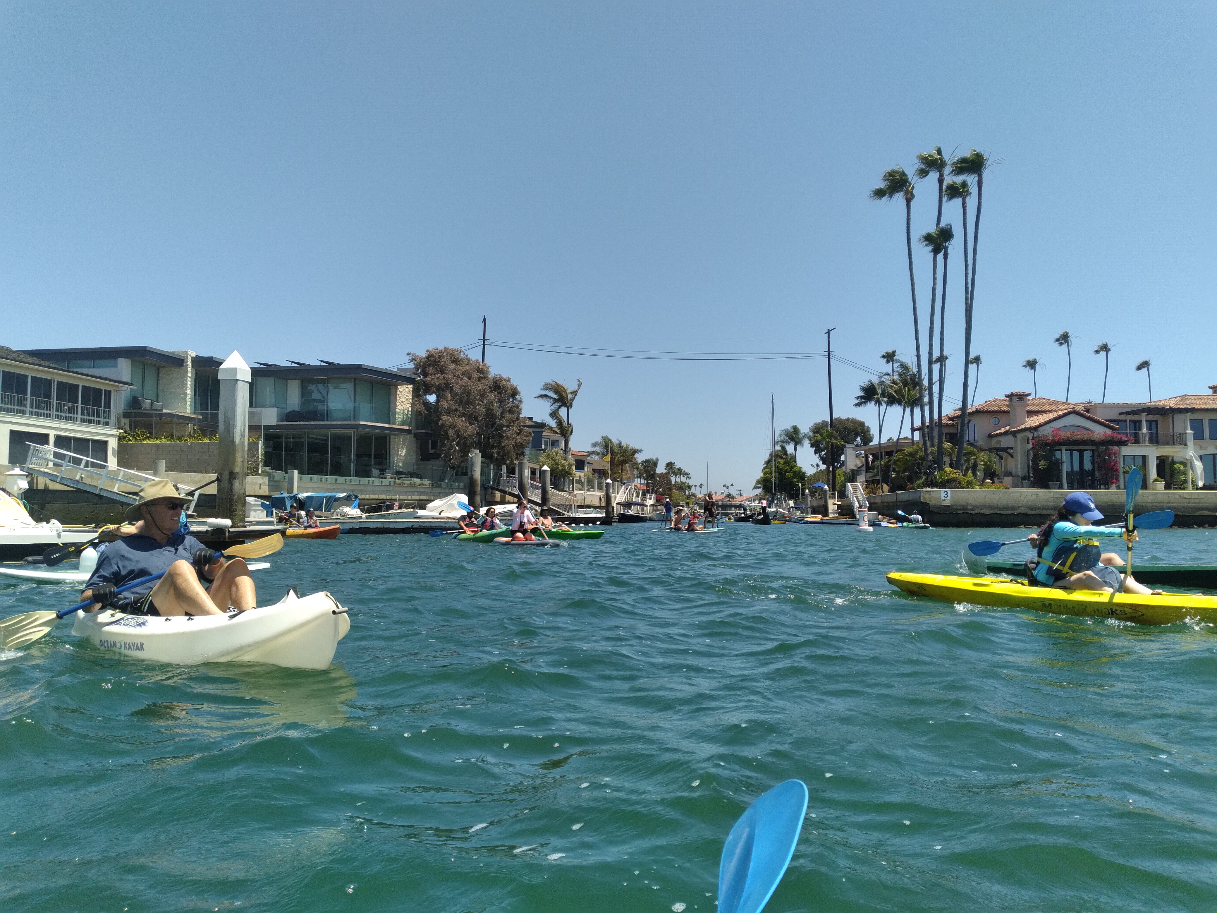 kayaks