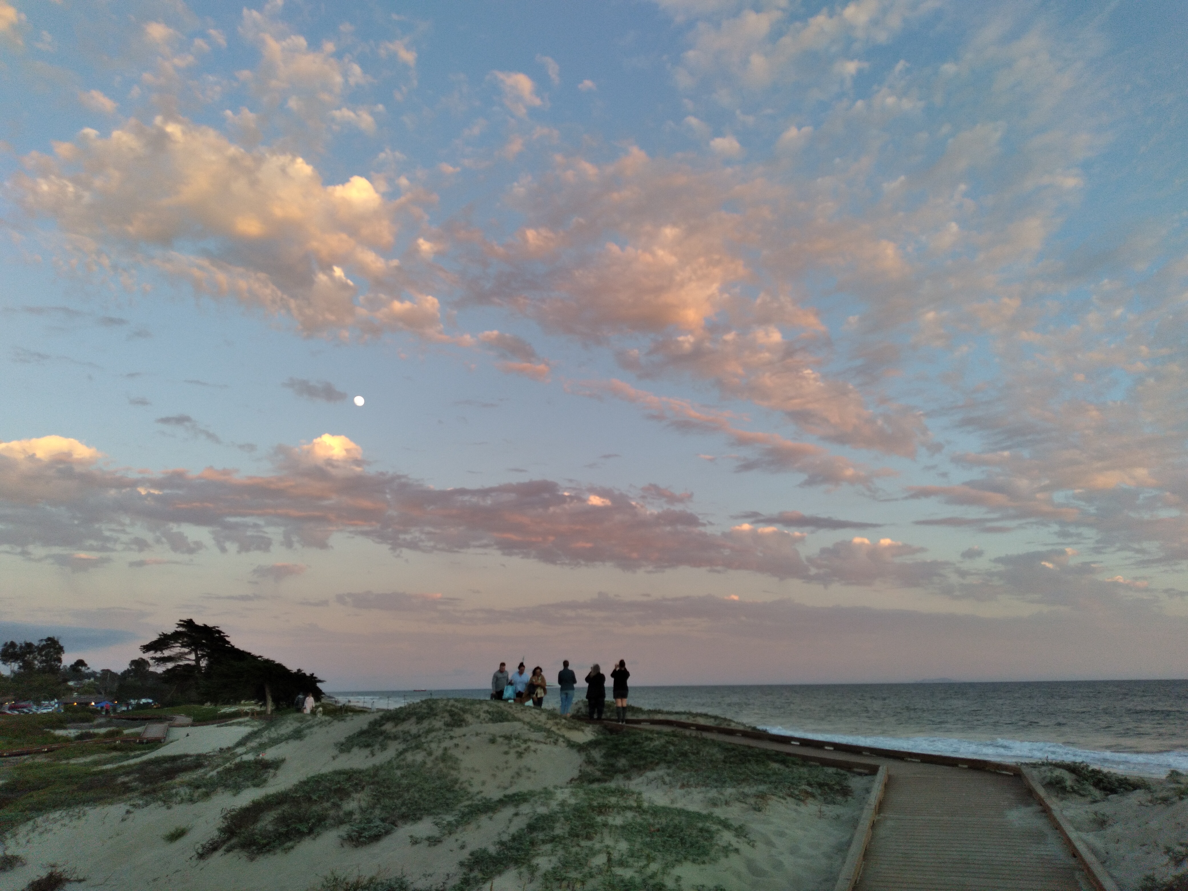 shore
