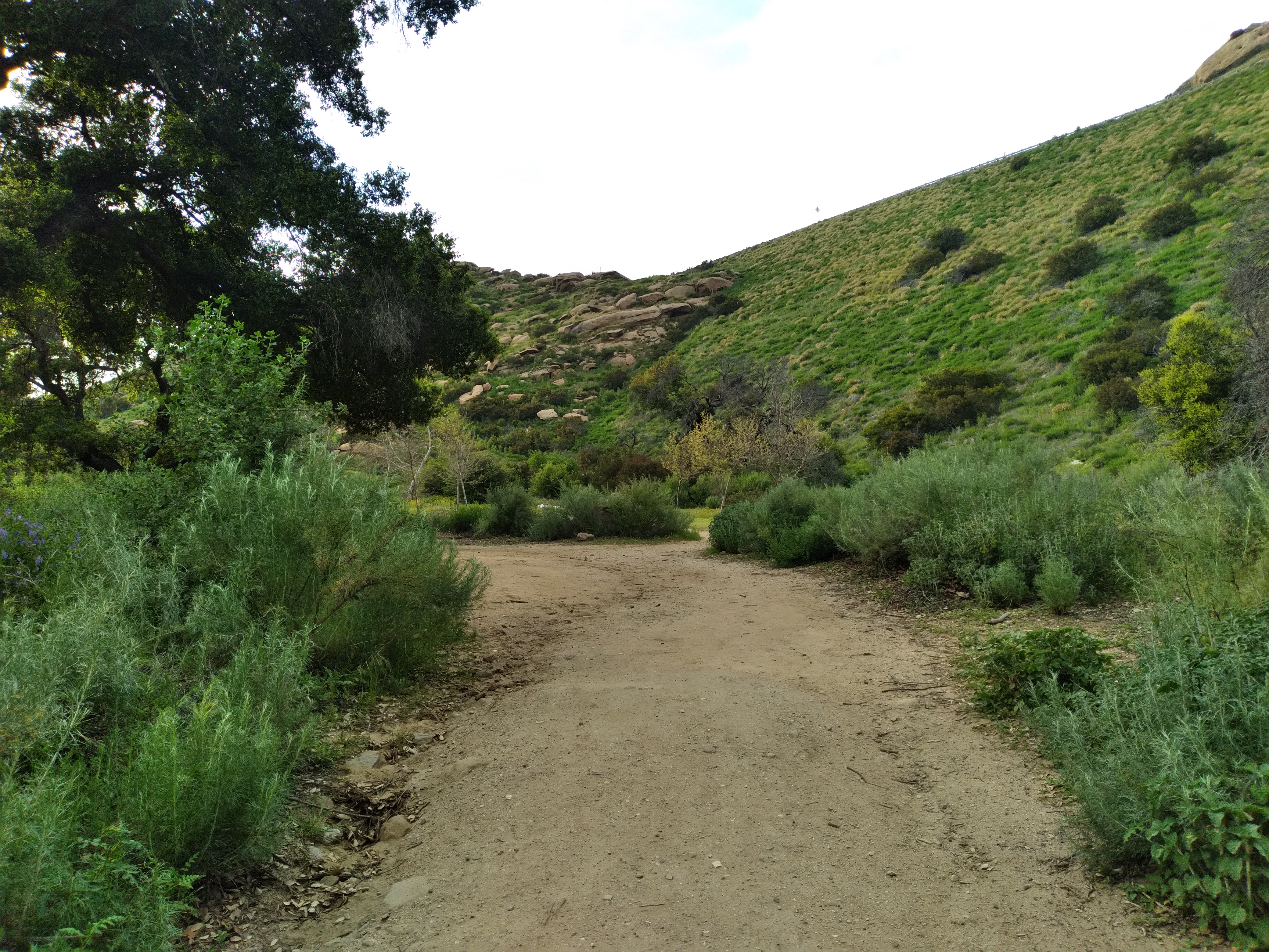 hike