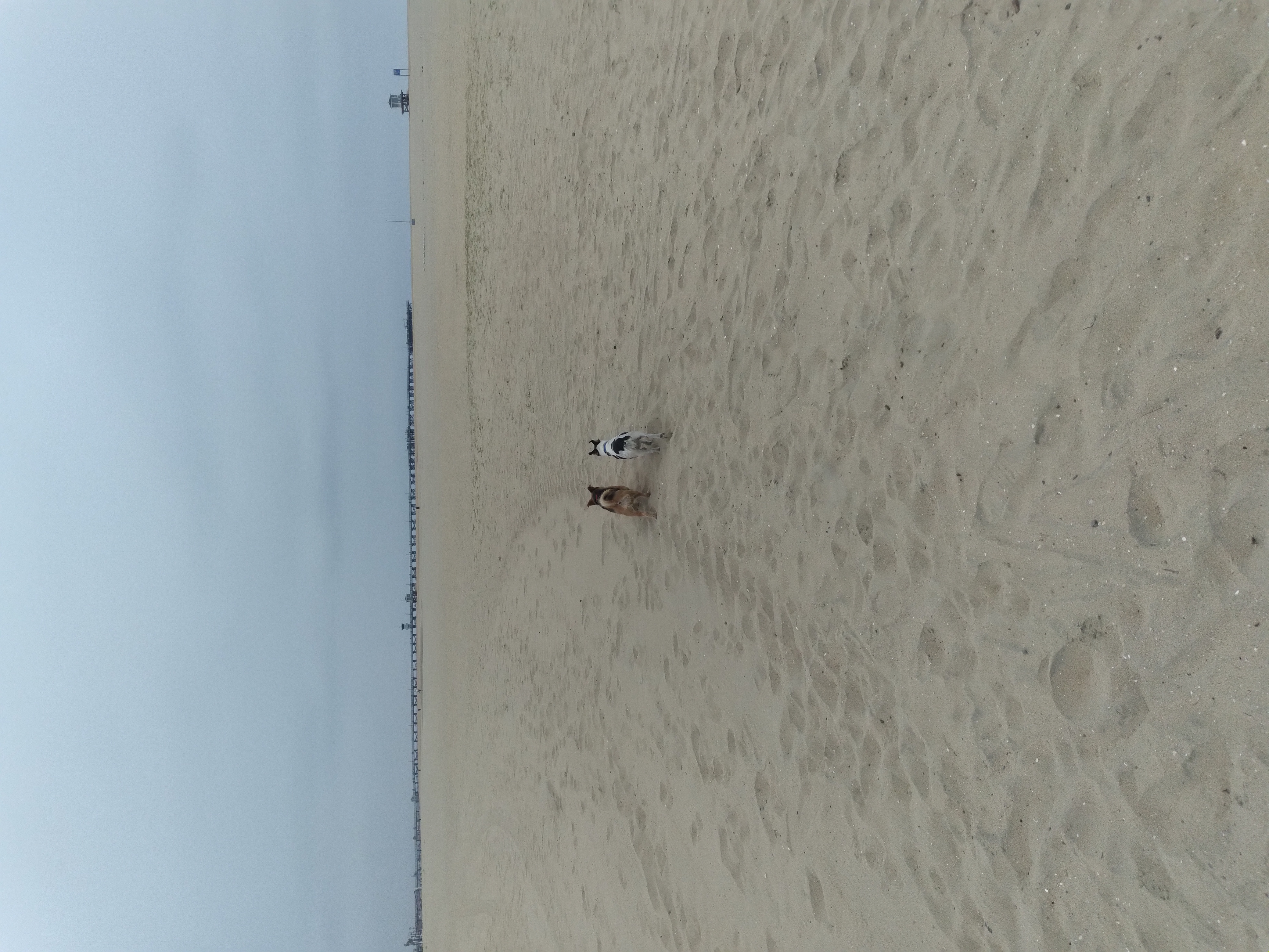 running