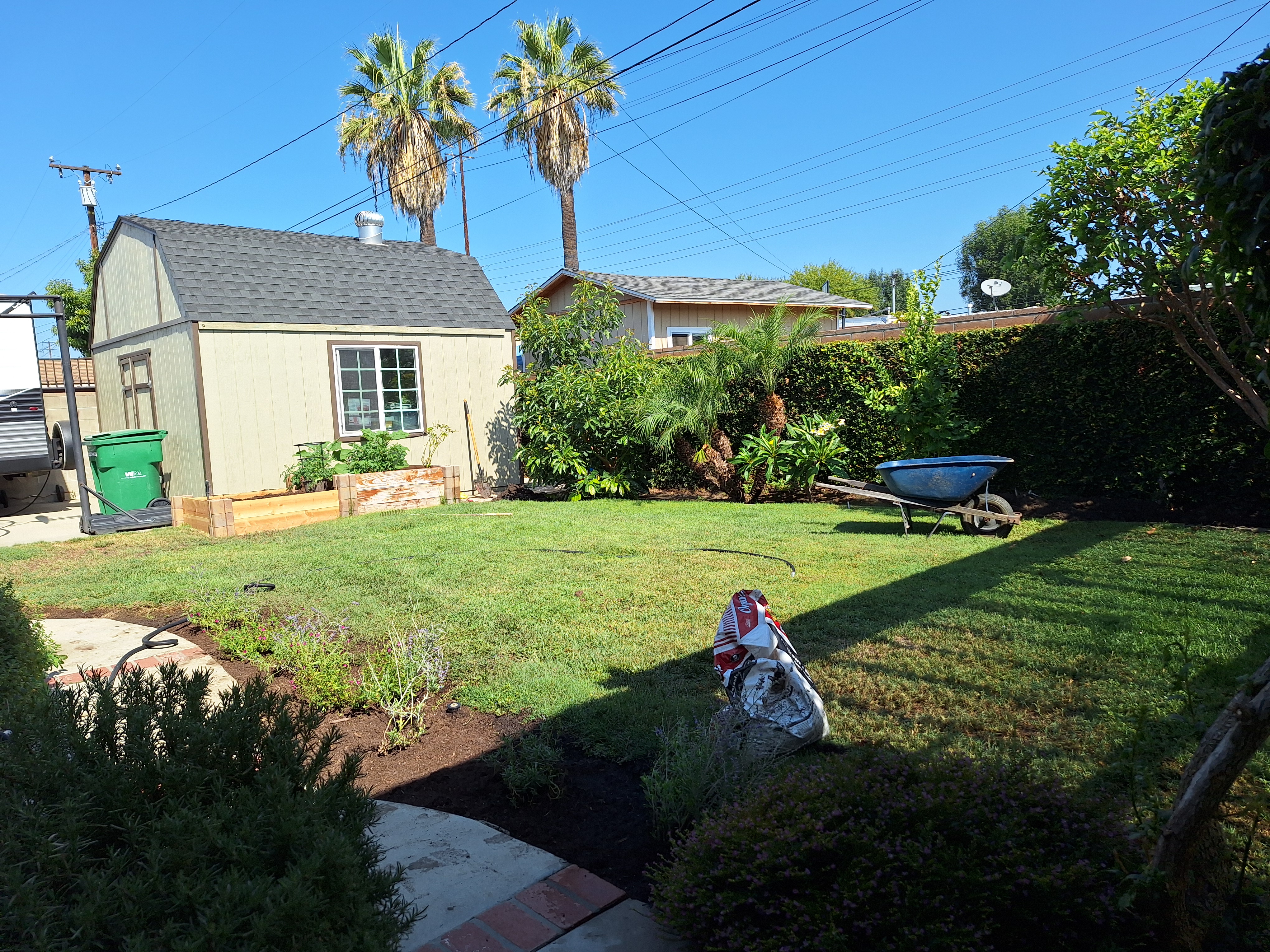 yard